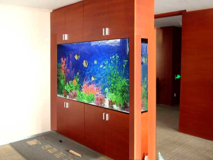 昆明搬家搬運(yùn)魚缸需要注意的事項(xiàng)有哪些？