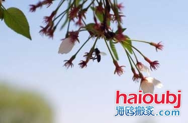 2019年春節(jié)冷不冷-2019年春節(jié)天氣預(yù)測(cè).jpg 2019年春節(jié)冷不冷-2019年春節(jié)天氣預(yù)測(cè).jpg